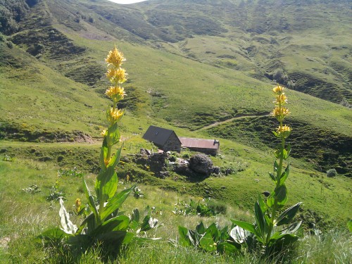 2010-07-08 10.50.53.jpg